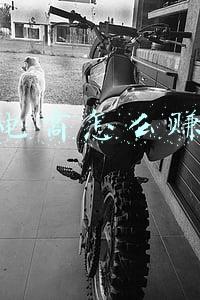 快手电商(快手(1024.HK)深度观察(2)：公域+私域双轮驱动，构建电商新生态)