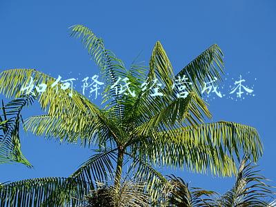电商企业如何降低经营成本;电子商务如何降低企业的经营成本?