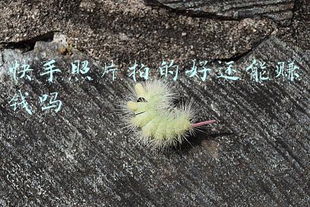 拍快手能挣多少钱(2021快手短剧创作者收入超过10亿元，短剧日活用户达2.3亿)