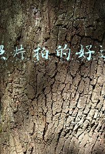 拍快手上热门能赚钱吗(看到快手上拍拍视频就可以赚到，一年一套房，我也可以挣到吗？)