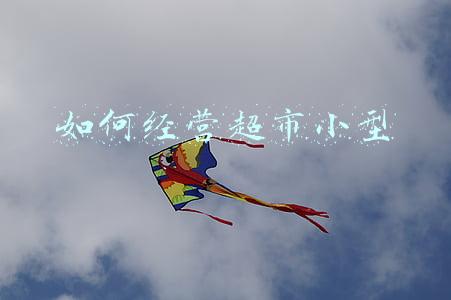 中小型超市经营模式毕业论文（中小型超市经营模式）