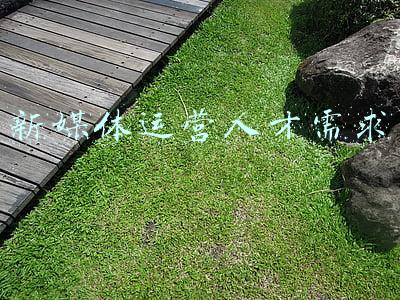 新媒体运营人才需求量2000万(山东的简历客如何根据人社部四批56个新职业来规划自己的职业发展)