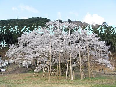 新媒体运营有销售任务嘛