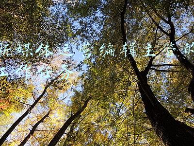 新媒体运营编辑招聘(高薪招募｜今报传媒招聘新媒体内容运营、抖音数据运营)