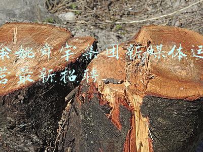 余姚舜宇集团新媒体运营最新招聘