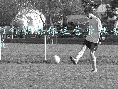 钉钉新媒体运营管理专员