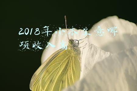 2018年小本生意哪项收入高