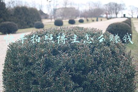 快手发照片能赚钱吗(抖音/快手星空壁纸怎么赚钱的？)