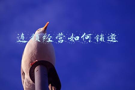 连锁经营管理-连锁经营管理专业