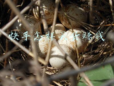 快手不卖货怎么赚钱(一个人能做直播带货吗？没有货源、没有团队怎么做好直播带货？)