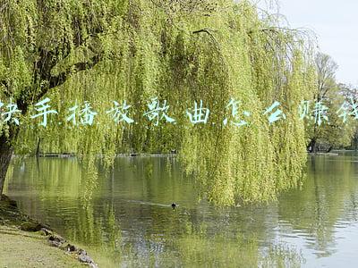 快手直播怎么赚流量钱(快手短视频直播间快速引流涨粉技巧，速来)