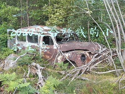 2020年最赚钱的小本生意(2020年被低估的4大“暴利行业”，比房地产还赚钱？)