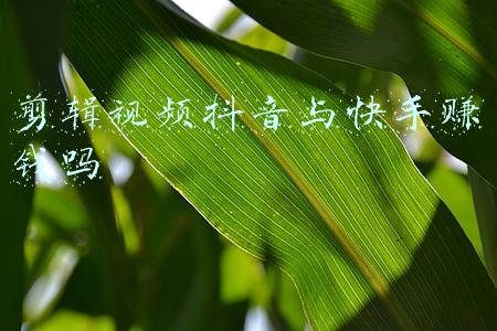 快手视频剪辑怎么赚钱(掌握这几种剪辑变现的渠道，自由职业也能月入过万)