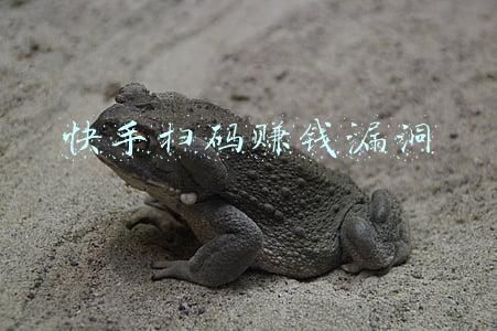 快手扫码赚钱漏洞