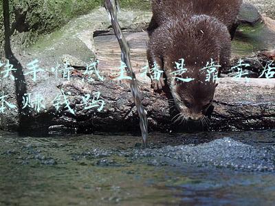 快手情感主播是靠卖剧本赚钱吗