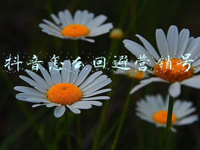 抖音怎么回避营销号