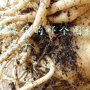 快手赚钱的图标怎么找不到了(最前线 | 2021年，《原神》和 TikTok 仍然是全球最赚钱的游戏和社交应用)