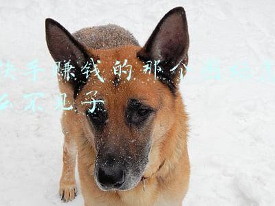 快手图标(快手品牌升级！新LOGO藏着一个“无限”符号)