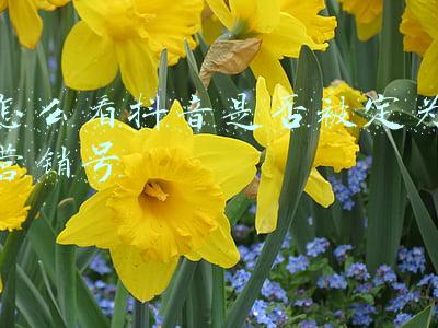 抖音号被认定营销废了吗(3个月4个人7600元，B2B抖音号是这样让我玩废的)