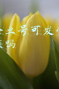 抖音企业号可发营销活动视频吗