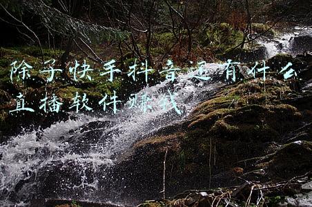 除了快手抖音还有什么直播能挣钱(冷启动做抖音茶叶直播，一晚卖出400万，他是这样做的)