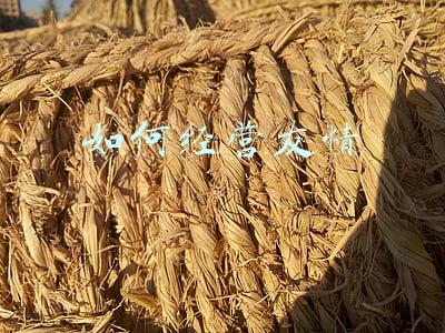 油船是干什么的（如何经营油船）