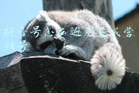 抖音号怎么避免变成营销号