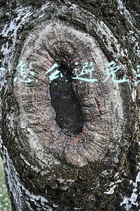 微信营销号避免封号(企业微信如何防止封号)