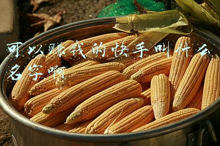 可以赚钱的快手叫什么名字啊