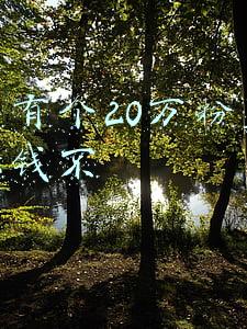 快手有个20万粉丝可以赚钱不