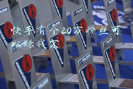 快手有20万粉丝能挣多少钱(快手账号转让60W粉丝价值多少？)