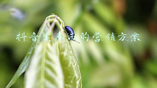 抖音卖东西的营销方案