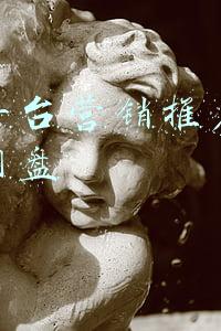 抖音网络推广怎么做(网络营销推广该如何去做？)