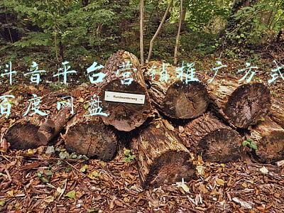 百度推广创意展现方式(创意不知如何优化？百度搜索推广有新招，提升创意点击率)