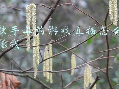 快手上的游戏直播怎么赚钱