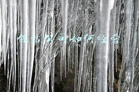 保洁公司运营方案_保洁公司经营方案