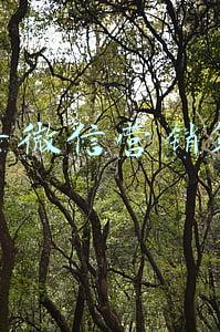 抖音微信营销策略