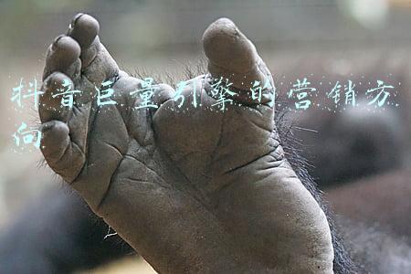 巨量引擎的好处(营销与经营一体化时代，巨量引擎的全量增长方案是什么？)
