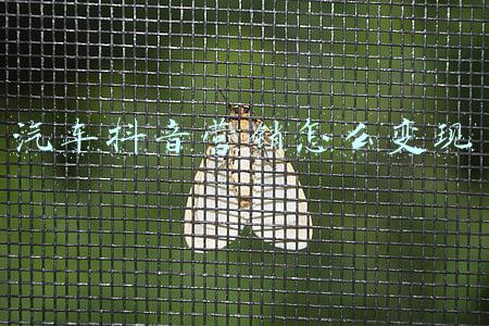 汽车抖音营销方案(汽车行业抖音短视频运营策略)