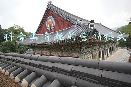 线上营销模式(复盘六大流量平台、沉淀百家品牌反馈，2022线上营销何处追风？)