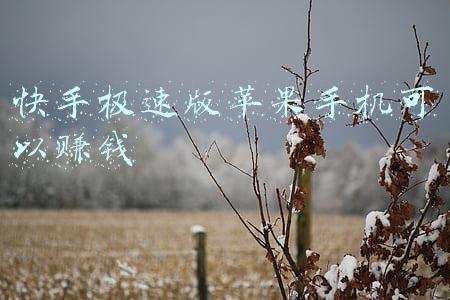 快手极速版苹果手机可以赚钱