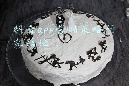 抖音app营销策略研究结论
