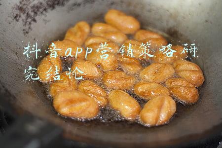 抖音app营销策略研究结论