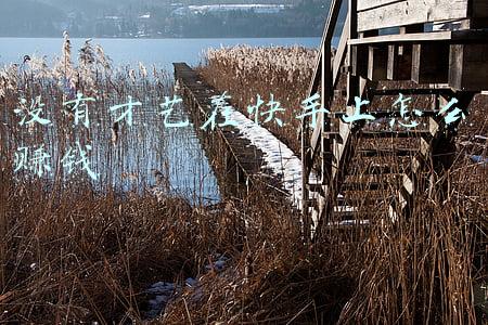 没有才艺在快手上怎么赚钱