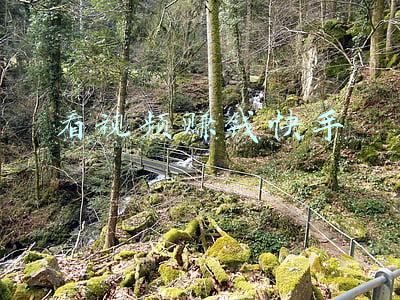 看视频赚钱的手机软件(微评 |“赚钱App”)