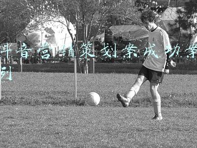 抖音营销策划案成功案例