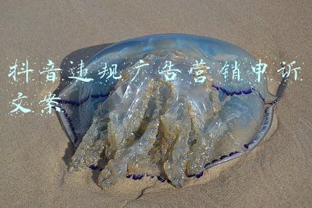 抖音违规原因:广告(抖音常见违规行为要注意)