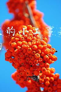 快手里的小工事是怎么赚钱的