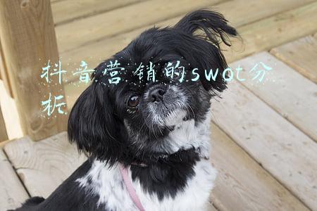 抖音营销的swot分析