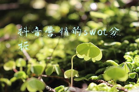 抖音营销的swot分析